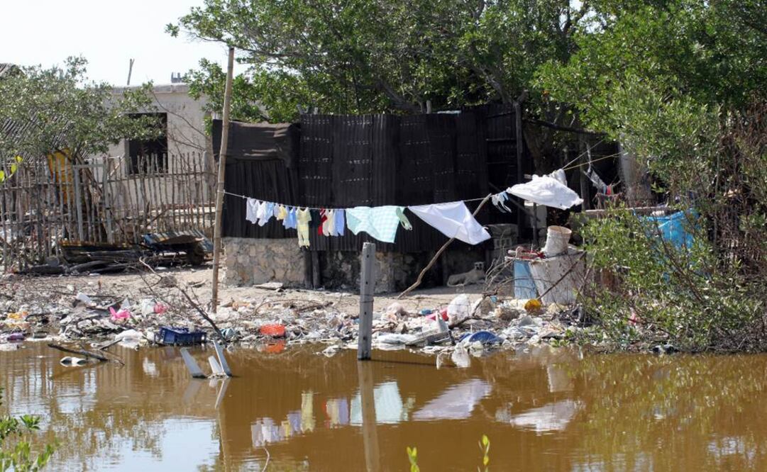 Foto: Archivo/EL UNIVERSAL