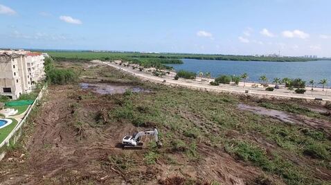 Sube vulnerabilidad de Cancún ante huracanes por tala de manglares
