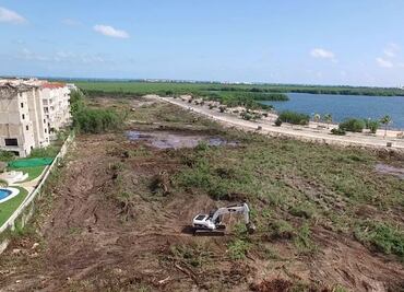 Sube vulnerabilidad de Cancún ante huracanes por tala de manglares