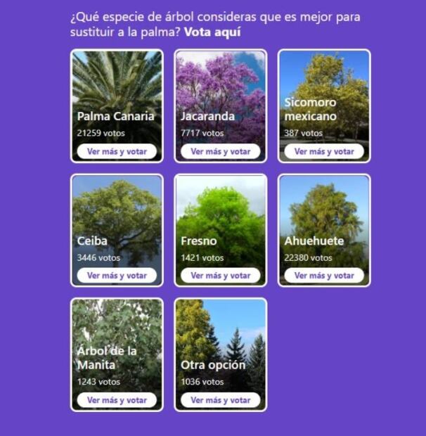 ¿Cómo y dónde votar para elegir al reemplazo de la Palma de Reforma?