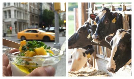 Los beneficios del yogur griego