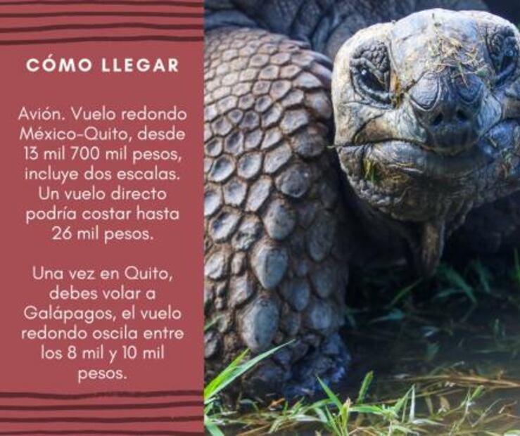 ¿Cuánto debes ahorrar para viajar a Galápagos?