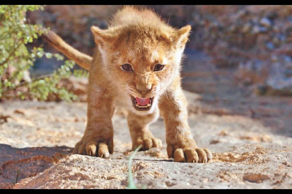 La película da una nueva dimensión digital a la de 1994. Foto/ DISNEY 