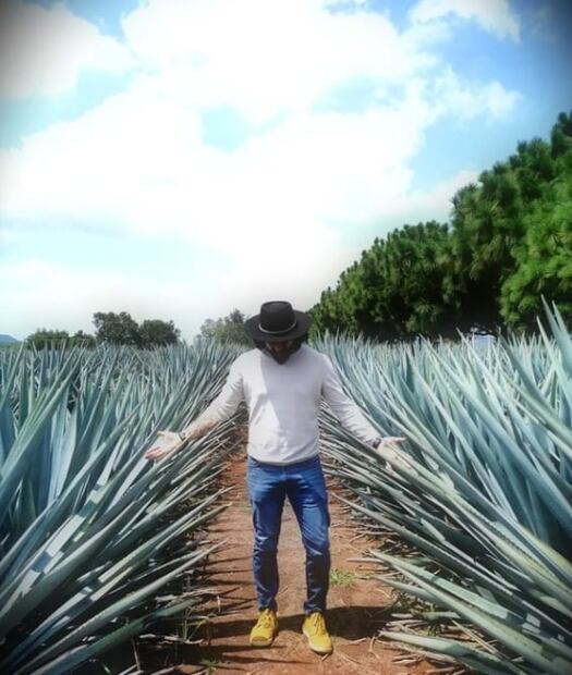 ¿Qué tequila elegir para este 15 de septiembre? Los expertos nos explican