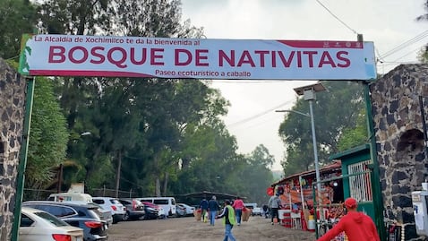 Causan alarma entre vecinos muertes de perros