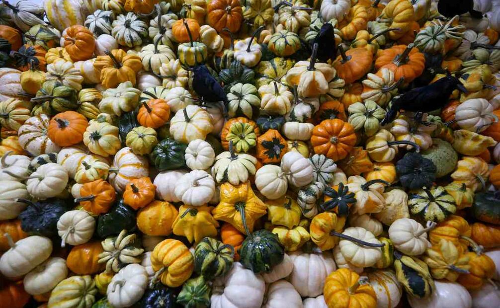 Artículos para decorar en época de Día de Muerto. Foto: Luis Camacho/EL UNIVERSAL