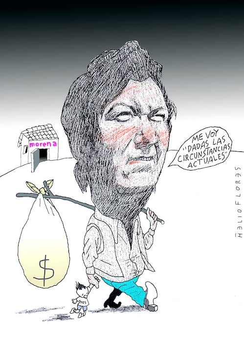 Cartón de HELIOFLORES