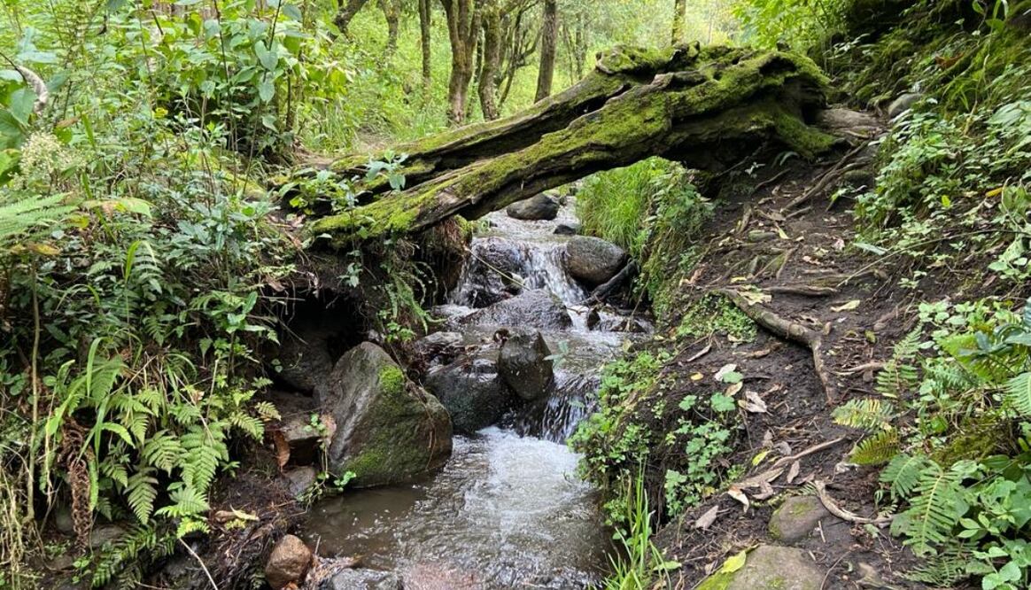 De los 11 glaciares que había en el volcán ahora sólo quedan dos, los cuales podrían desaparecer debido al cambio climático, alertan. Foto: Diego Montesinos | El Universal
