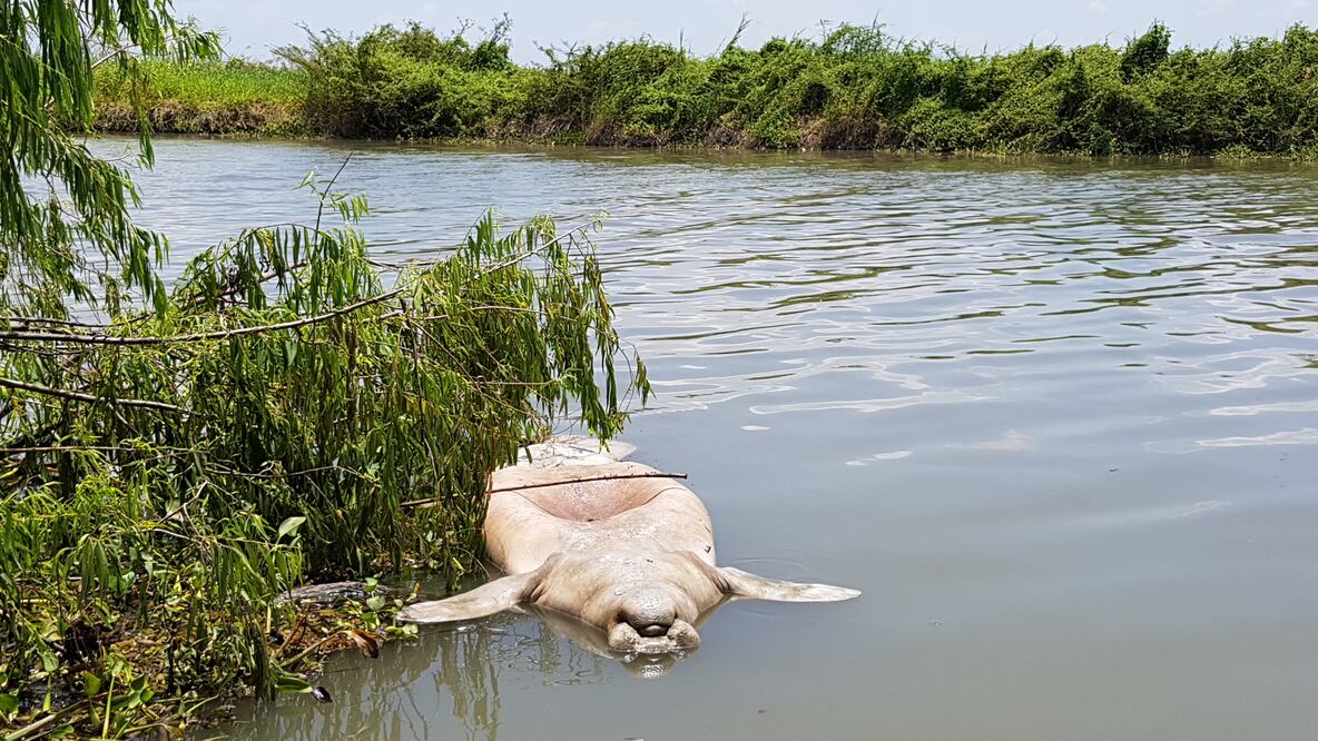 Fotos: Leobardo Pérez