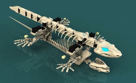 Un biorobot permite estudiar los primeros pasos de los vertebrados