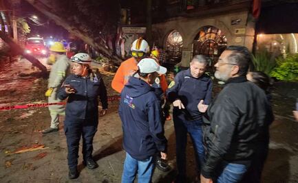 Luvias afectan tres colonias de Coyoacán; reportan caída de siete árboles