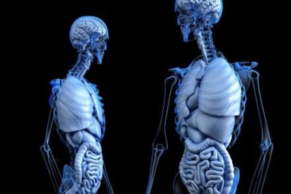 ¿Cómo cambia el cuerpo al dejar de tomar refresco?
