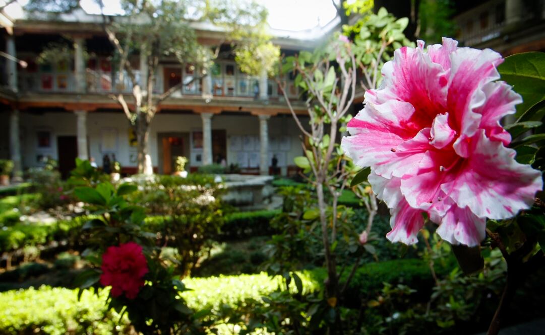 Foto: Archivo EL UNIVERSAL