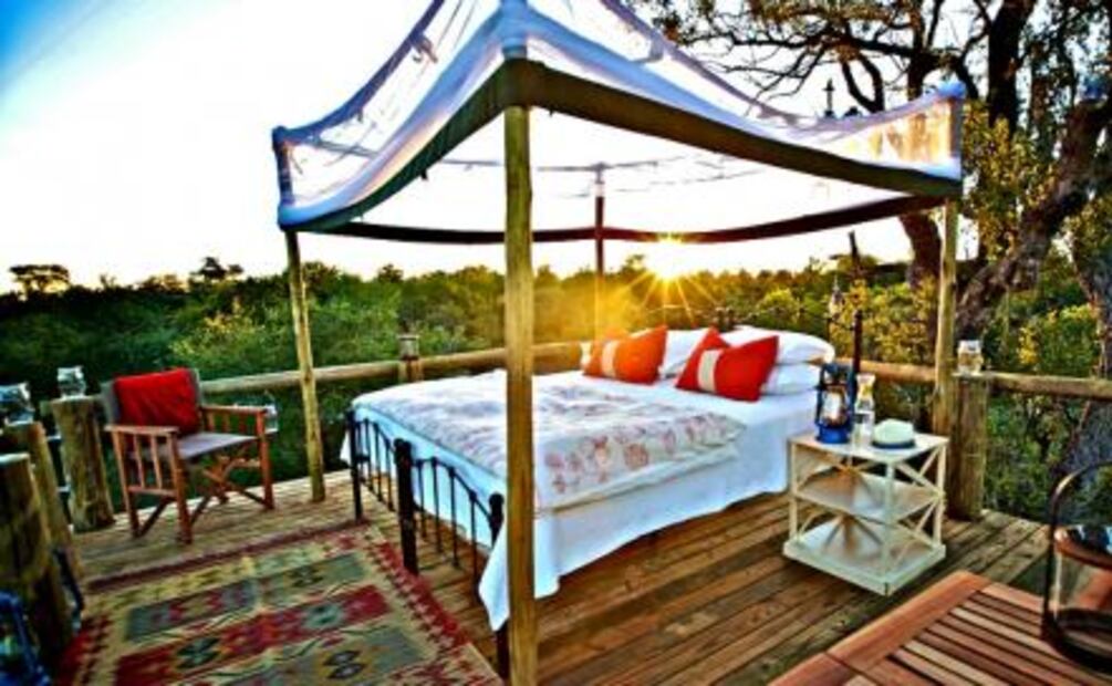 ¿Sabes qué son los Big Five? 5 curiosidades del Parque Nacional Kruger