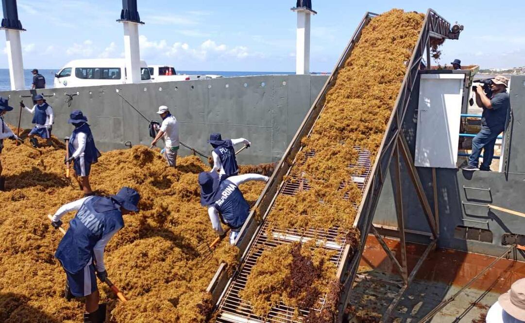 La Secretaría de Marina informó que mantiene esfuerzos para evitar el arribo masivo de sargazo. Foto: Especial