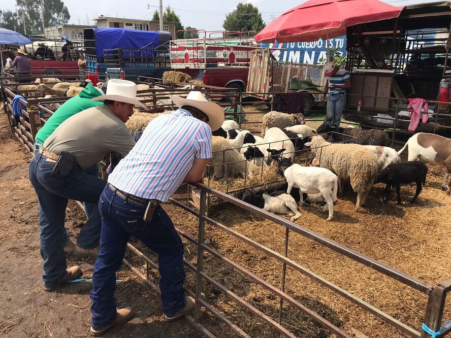 Mercado de animales en Ozumba: priva la desinformación por la actividad del volcán.  Foto. Emilio Fernández