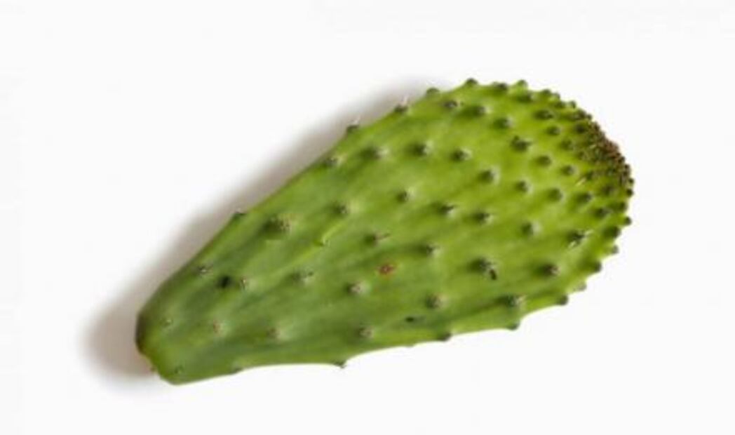 10 superfoods mexicanos que tienes que comer