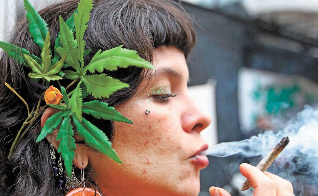 El cannabis, mejor conocida como marihuana, se utiliza con fines recreativos y médicos - Foto: Mario Guzmán/EFE
