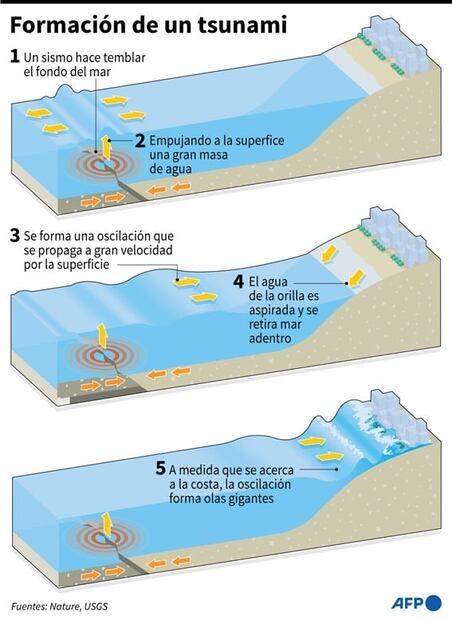 Alertan en Ecuador del peligro inminente de tsunami tras sismo en México