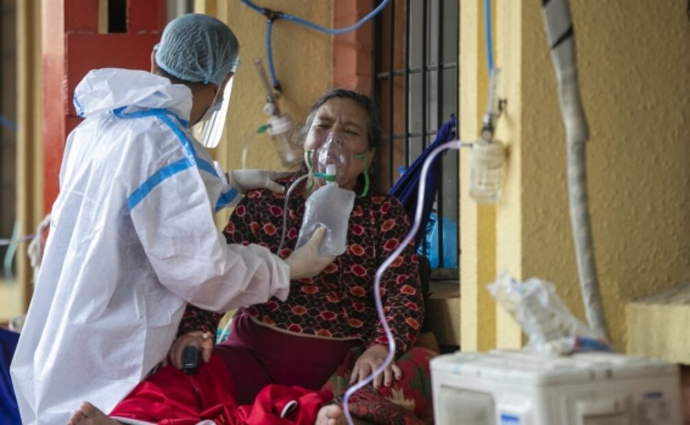 Tratan la covid-19 con suero de plasma de burros en Bolivia