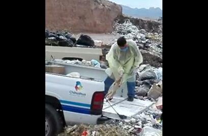 Indigna en redes manejo de animales muertos en Chihuahua