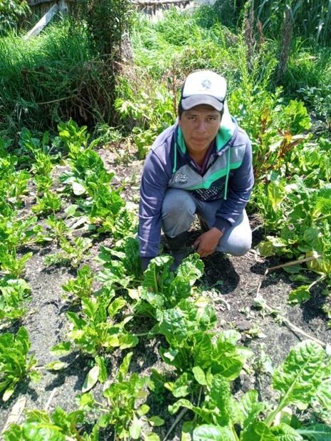 Las chinampas, la opción más sustentable para la alimentación chilanga
