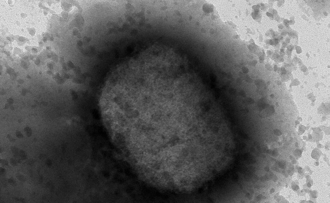 Foto: Archivo/ EL UNIVERSAL 