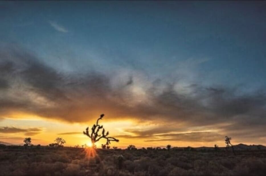 Una foto por México en tiempos de Covid-19