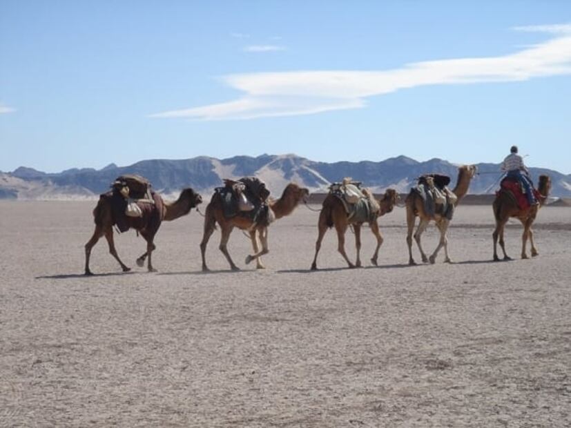 Baja California ofrece experiencia relajante e inmersiva con sus escenarios naturales