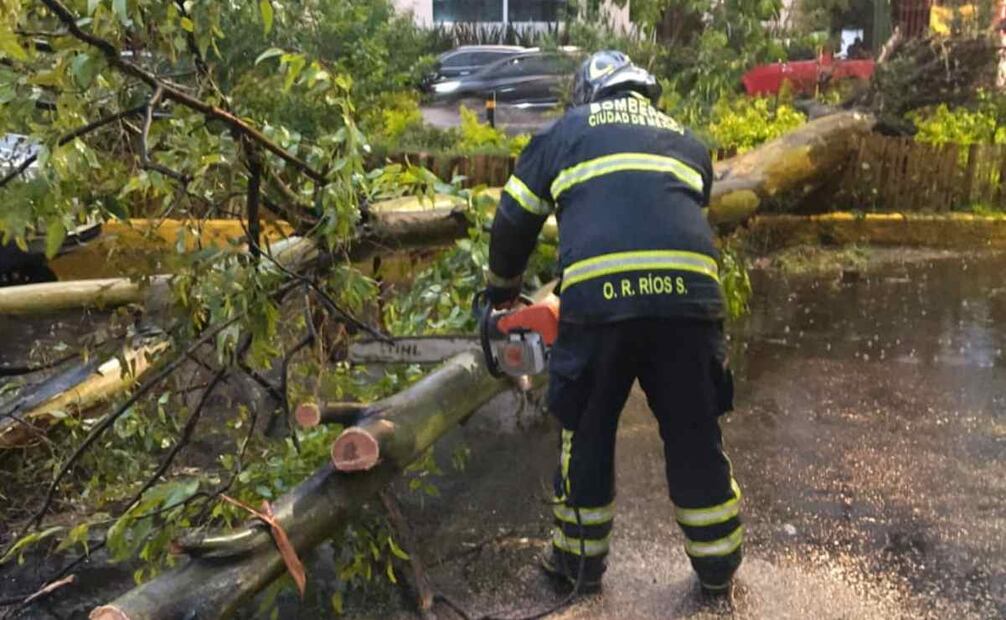 Bomberos retiran un árbol que se desprendió desde la raíz en Avenida La Virgen, colonia Stunam. 03/06/2025. Foto: @Bomberos_CDMX