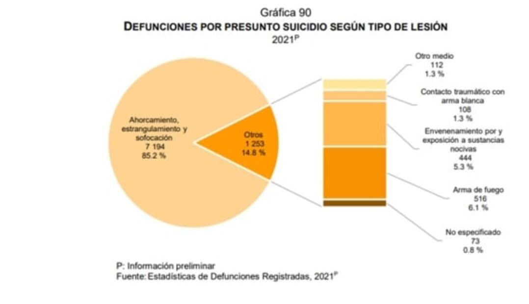 Las 8 gráficas del Inegi que muestran las principales causas de muerte en México