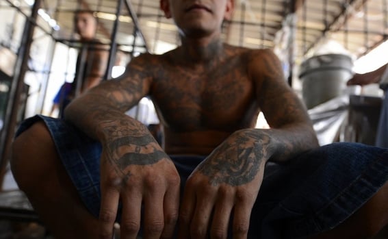 Golpe a la MS13; detienen a cientos de pandilleros maras en NY y El Salvador