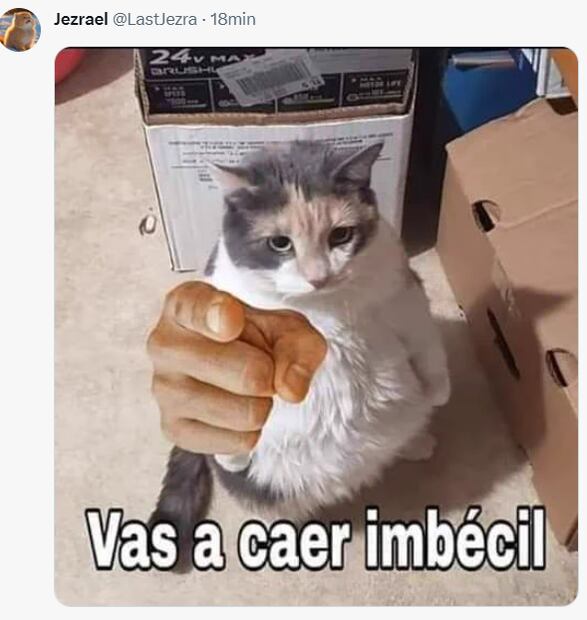 Memes de la eliminación de América en la Leagues Cup