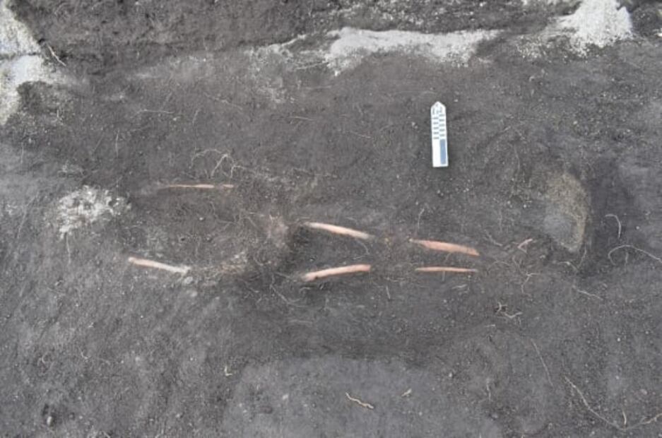 Hallazgo arqueológico revela más sobre la transición de la cultura inca a la colonia española