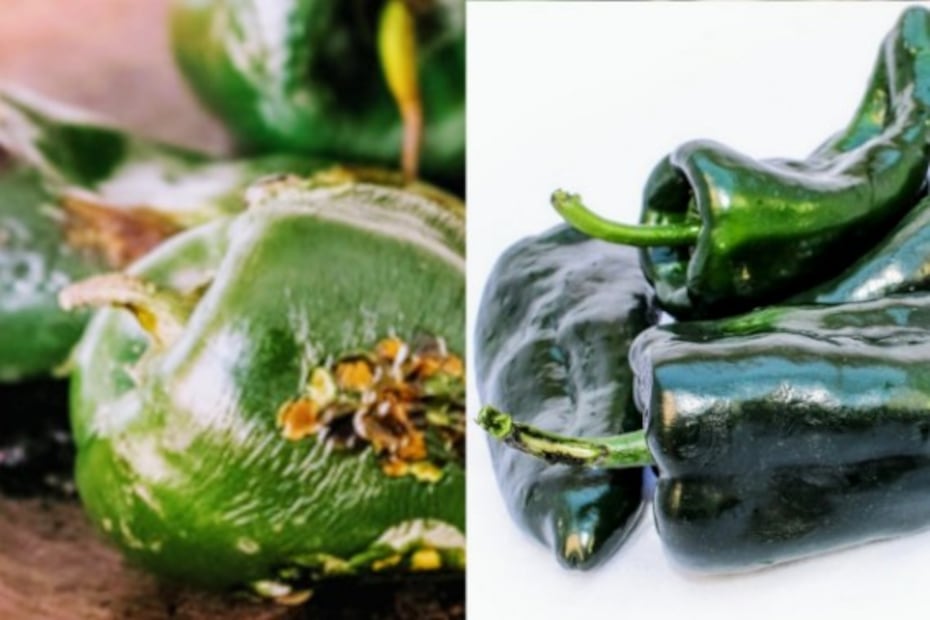 Cómo quitarle las semillas a los chiles poblanos