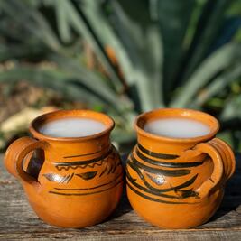 Se arma la pulcata para los amantes del pulque