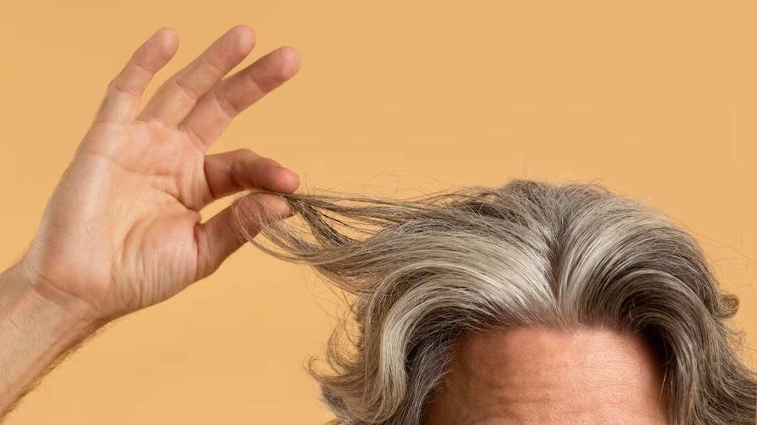 Canas. Fuente: Freepik