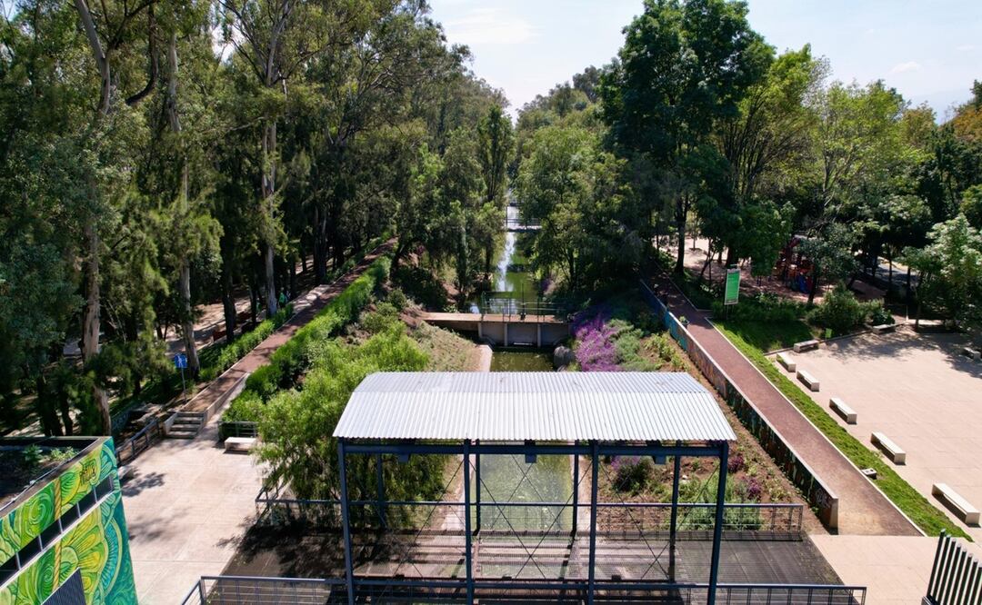 Sedema presenta el Programa de Manejo del Bosque Urbano Canal Nacional; impulsa su conservación y recuperación. Foto: Laura Arana