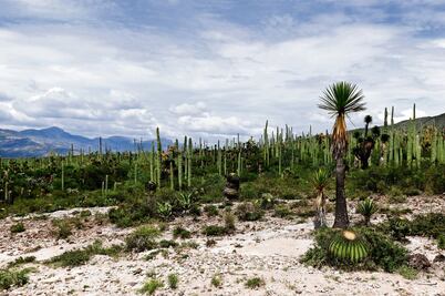 La UNESCO reconoce Biósfera