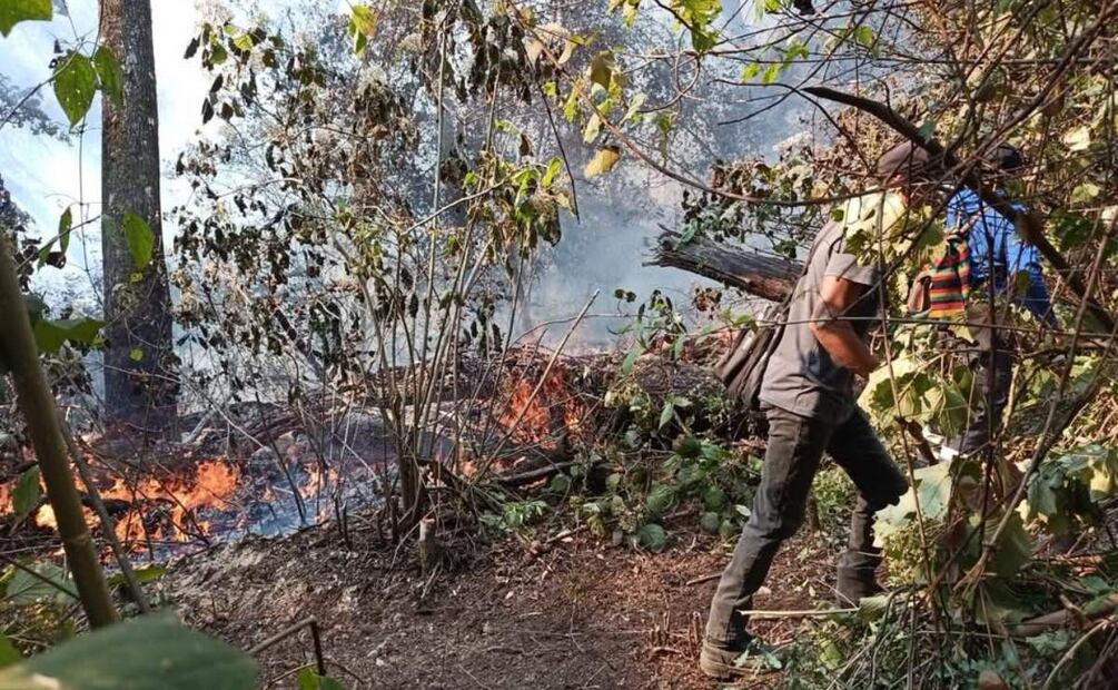 Brigadistas combaten incendio fuera de control en Tlahuiltepa, Hidalgo (04/04/2025). Foto: Especial