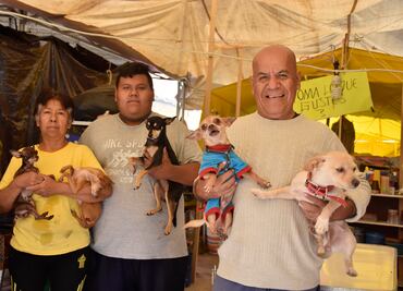 El hombre que vive en la calle con 23 perros