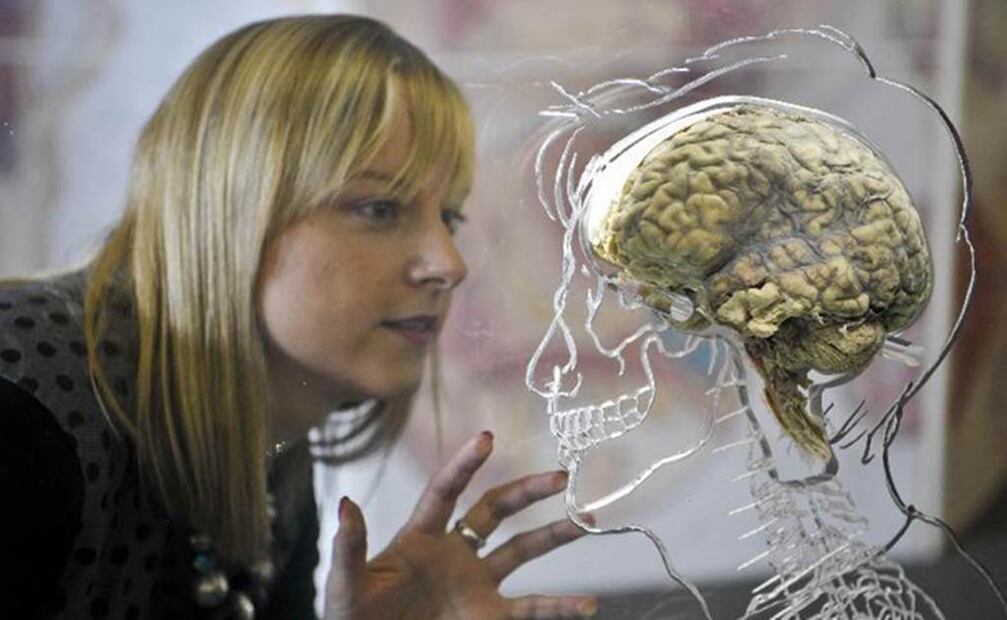 Pacientes que podrían formar parte de la investigación deberán contar con una certificación de su estado de muerte cerebral y sólo deberán continuar con vida gracias al apoyo de las máquinas. Foto: Archivo