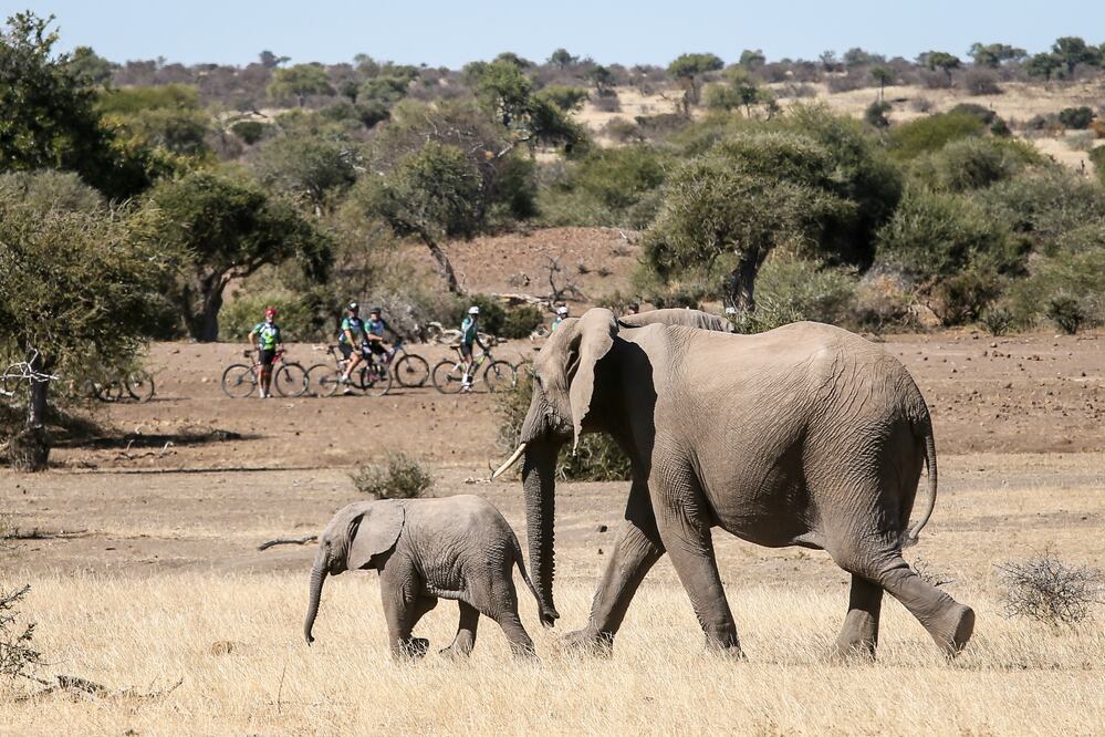 Tour de Tuli, evento de ciclismo anual, el cual recauda fondos para Children in the Wilderness. Pasa por Botswana, Zimbabue y Sudáfrica.  (Foto: Cortesía Wilderness Safaris)