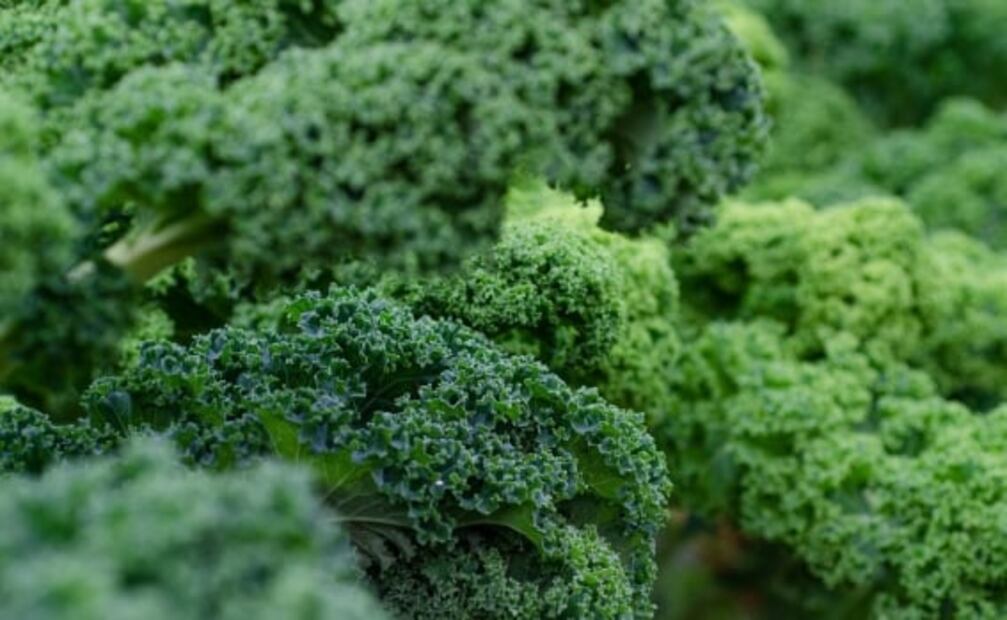 4 verduras que ayudan a reducir el colesterol