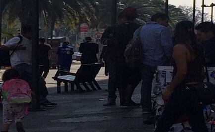 Indigentes azuzan perros a morder transeúntes sobre Juárez