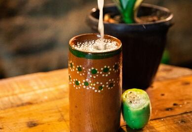 Cocteles con pulque para tu noche mexicana