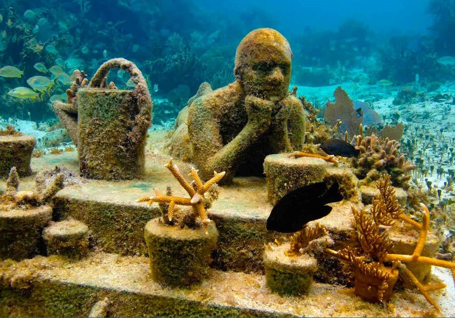 Este museo cuenta con más de 500 esculturas marinas. Foto: MUSA