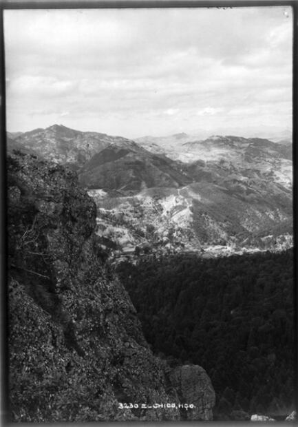 La belleza de nuestro primer Bosque Nacional 