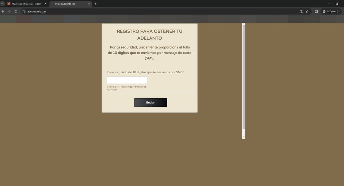 Mujeres del Bienestar fake. Foto: Especial