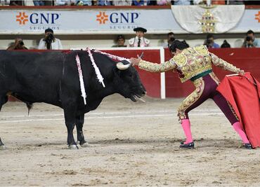 El torero mexicano Joselito Adame sufre impactante embestida en la Feria de San Marcos
